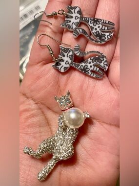FRIENDS Silver-Tone Cat Brooch with Clear Rhinestones and Dangle Earrings